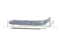 Prasco Modanatura sinistra paraurti Mercedes C (W203) 2004-2007 A2038856121 profilo cromato