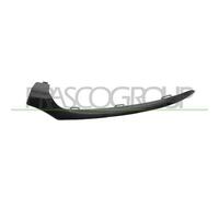 Modanatura Sinistra Nero/lucida Per Mercedes C Class (w205/s205) 2014-2018 Sx
