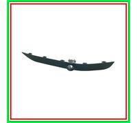 Modanatura Sinistra-Paraurti Anteriore Bmw X5-E53-(Anno 2000-2006)