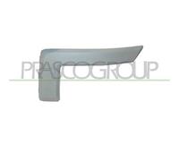Modanatura decorativa/ protettiva, Paraurti FD3521234 PRASCO per FORD