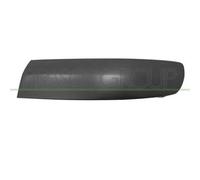 Modanatura Sinistra Paraurti Anteriore Con Primer Per VOLKSWAGEN T5 2003-2009 SX