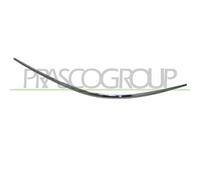 Modanatura Sinistra Paraurti Anteriore Cromata Per Mercedes Clk (w209) 2002-2009