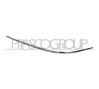 Modanatura decorativa/protettiva, paraurti BLIC 6502-07-3530921P sinistro