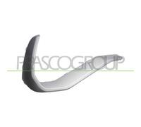 Modanatura Sinistra Paraurti Posteriore AUDI Q3 SPORTBACK S-LINE (F 2019 SX