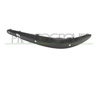 Modanatura Sinistra Senza Profilo Per Mercedes E Class (w211/s211) 2002-2007 Sx
