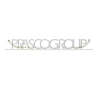 PRASCO ME3071255 Modanatura paraurti