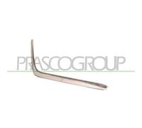 Cer Listello di Protezione Paraurti Anteriore Destro PRASCO per Mercedes 124