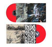 Model/Actriz - Dogsbody