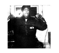 Model Home One Year (Vinyl LP) 12" Album