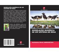 MODELAÇÃO NUMÉRICA DE UM SISTEMA DE REGA
