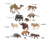 Modelli di animali realistici di elefante asiatico, , lupo artico, pangolino, mammut lanoso, cammello, decorazione da scrivania statica Lupo artico giallo,iena,Elefante africano,Lupo artico bianco,Bel