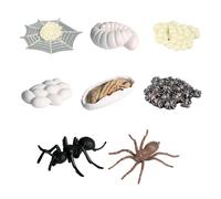 Modelli di insetti - Attività di osservazione per primi anni, apprendimento tattile, aiuto alla scoperta, esemplari grandi da 5 cm + set multipezzo, forma resistente agli urti, per giochi in età