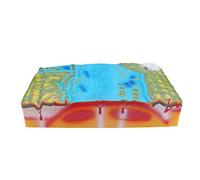 Modelli geomorfologici di tettonica a placche per l'educazione geografica, strumento dimostrativo per studenti delle scuole medie e superiori