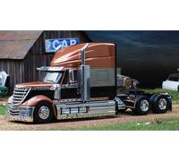 MODELLINO CAMION STATICO IXO MODEL INTERNATIONAL LONESTAR 2010 ARANCIO/NERO 1/43