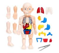 Modellino Corpo Umano per Bambini Modello Anatomico del Corpo Umano Giochi Educativi Bambini Studia Anatomia Umana Modello del Corpo 3D Organi Rimovibili Modello Realistico di Anatomia Umana (a)