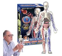 Modello 4D del corpo umano - Modello trasparente del corpo umano di anatomia dello scheletro | Soggiorno camera da aumenta l'attività educativa delle abilità motorie fini per compagni di classe