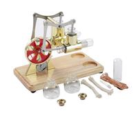 Modello a motore a doppio cilindro Stirling con generatore a LED e base di aria cal della base di quercia, volante, TOD TOD per bambini adulti, dimostrazione di fisica scolastica, (Oro)