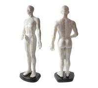 Modello a punto di agopuntura - Diagramma del corpo umano da 50 cm con codice inglese inciso per massaggio meridiano e mappa dell'ago, materiale morbido