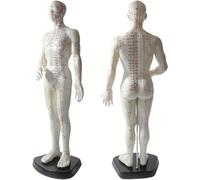 Modello a punto di agopuntura - Diagramma del corpo umano da 50 cm con codice inglese inciso per massaggio meridiano e mappa dell'ago, materiale morbido