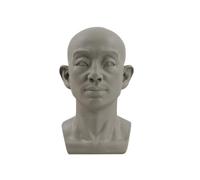 Modello a testa piatta per schizzi di ritratti giovani, piccole statue in | Materiale in resina gesso, strumento didattico per schizzi, set da 1 pezzo, caratteristiche dettagliate del viso