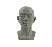 Modello a testa piatta per schizzi di ritratti giovani, piccole statue in | Materiale in resina gesso, strumento didattico per schizzi, set da 1 pezzo, caratteristiche dettagliate del viso
