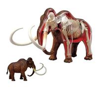 Modello Anatomico 4D Del Mammut Lanoso Mammoth Esemplare Di Scheletro Animale Kit Anatomico Per Insegnamento Per Dimostrazione Didattica A