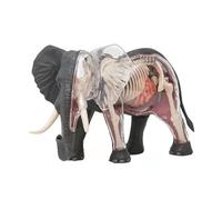 Modello anatomico 4D dell'elefante, 27 organi staccabili e campione di scheletro - Modello anatomico animale for insegnamento veterinario, lezioni di biologia e ricerca scientifica