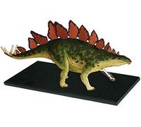 Modello anatomico 4D di dinosauro, modello anatomico di stegosauro, 39 parti staccabili, modello di insegnamento medico per l'educazione medica.