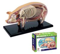 Modello anatomico 4D di maiale, modello anatomico dello scheletro di maiale, modello animale con 19 organi e parti del corpo rimovibili per la formazione veterinaria