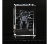 Modello anatomico a cristalli dentali 3D - Design cubico inciso di precisione per medicina e decorazione