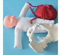 Modello anatomico Anatomy Jane Doll, simulatore di Modello di Parto, Modello di Bacino Femminile per Parto, Set dimostrativo di Nascita Include Modelli di Bacino del Bambino e cordone ombeli