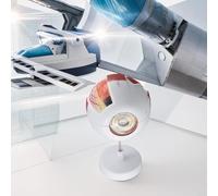 Modello anatomico bulbo oculare per studenti con dettagli realistici, disponibile in livelli di ingrandimento 3x e 6x (6 volte)