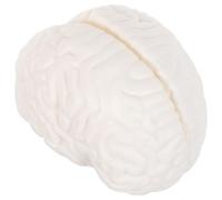 Modello Anatomico Cervello Umano 3 Parti in PVC per Studio | Sezione Dettagliata, Parti Smontabili, per Lezioni di Biologia e Ricerca Psicologica, Bianco