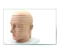Modello anatomico Cervello Umano Rimovibile Sezione Trasversale Insegnamento Ricerca Taglio Orizzontale Modello di visualizzazione, Modello cerebrale Imaging radiologicoPer apprendimento e o