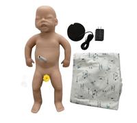 Modello Anatomico Corpo Umano, Regali Studente Medicina, Modello di Anatomia
