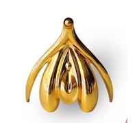 Modello anatomico del clitoride femminile, modello anatomico del clitoride del sistema riproduttivo umano, genitali femminili Sussidi didattici ginecologici for l'insegnamento della(Gold)