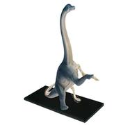 Modello anatomico del drago da polso, modello animale con 42 organi staccabili, parte dell'anatomia medica. Il drago da polso è utilizzato for supportare l'istruzione e la formazione medica.