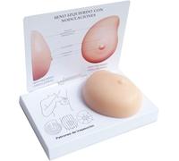 Modello anatomico del seno per autotesting, strumento educativo in silicone con grumi patologici per sensibilizzazione sul cancro e allenamento sulla salute del seno