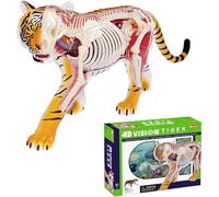 Modello anatomico della tigre 4D Vision, 28 organi e parti del corpo staccabili, modello anatomico tridimensionale della tigre puzzle, modello di campione di scheletro di intelligenza