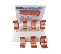 Modello anatomico dell'arteria 7PCS con modello vascolare del trombo aterosclerotico Modello procedurale dell'arteria for medici, strumento educativo