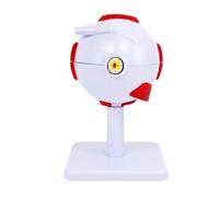 Modello anatomico dell'occhio con 3D indipendente, 3X con 6, E | Costruzione di modelli in PVC, riferimento all'anatomia del calcestruzzo, esposizione educativa per studenti e insegnanti di