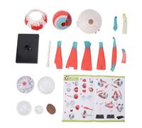 Modello anatomico dell'occhio umano con 16 parti staccabili Struttura educativa del bulbo oculare Strumento didattico scientifico per materiale plastico in classe e a casa