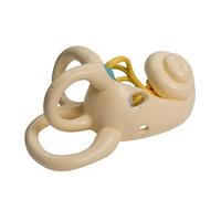 Modello anatomico dell'orecchio interno allargato modello anatomico dell'orecchio interno anatomico interno per studenti medici anatomia