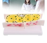 Modello anatomico di cellula epidermica di cipolla - Struttura ingrandita di cellula vegetale microscopica per l'istruzione biologica - Simulatore botanico altamente dettagliato, completo di