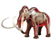 Modello anatomico di mammut lanoso, esemplare di scheletro animale 4D con 30 parti staccabili per addestramento in clinica per animali domestici e dimostrazioni didattiche scolastiche