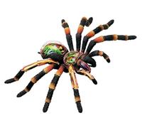 Modello anatomico di ragno, composto da 33 parti staccabili, ideale per l'insegnamento e la ricerca in biologia, strumento didattico, perfetto per decorazioni di Halloween e progetti di studio.