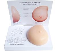 Modello anatomico in silicone del seno con tumore per la comunicazione medico-paziente, l'insegnamento agli studenti di medicina e lo studio dei noduli patologici del seno.