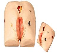 Modello anatomico Modalità infermieristica per ulcere da pressione senior, Ulcere anatomiche Insegnamento infermieristico Simulatore umano per modello di pratica di formazione medica