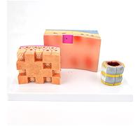 modello anatomico, Modello anatomico della parete tracheale e laringea - 3 parti ingrandite volte trachea umana for ausilio didattico medico