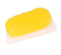 modello anatomico Modello di grasso da 5 libbre - anatomico for mantenersi in forma, promemoria motivazionale for perdere peso, nutrizionista, corso scienze anatomiche